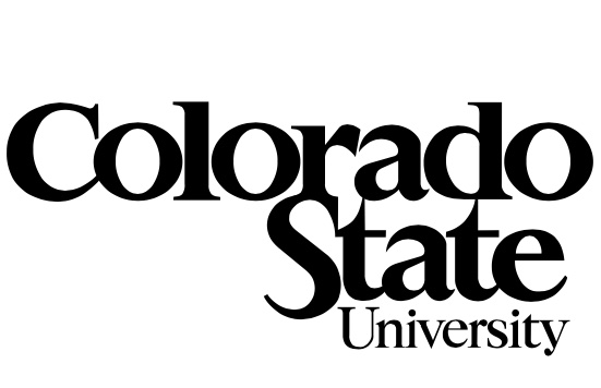 This image has an empty alt attribute; its file name is csu-logo.jpg